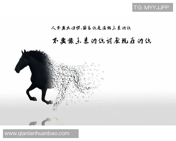 探索足球书籍的魅力与智慧让我们一起领略绿茵场上的精彩与人生哲理